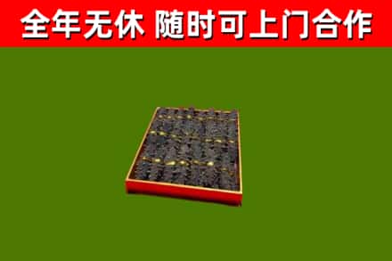 荆州市回收海参